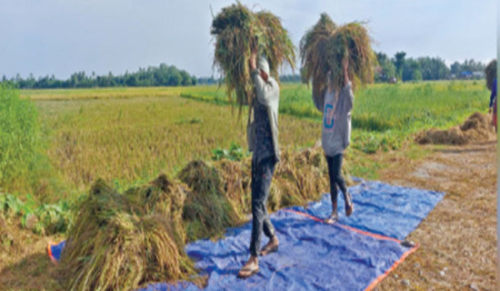 Govt unveils incentives to boost agricultural productivity
