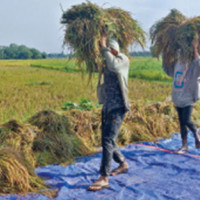 PM Oli appeals for support to disaster survivors