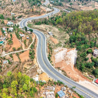 Beautification move that overlooked biodiversity