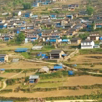 Organic farming boosts income, production in Dang
