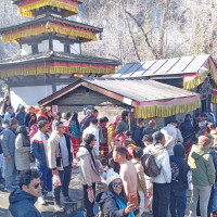 Lalibazaar nears Rs. 80 million mark