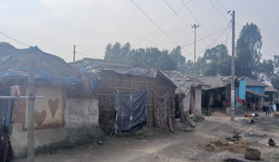 From huts to modern shelters: The changed face of Musahar settlement in Lahan