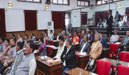 NA lawmakers stress on settling Nepal-India border issue through diplomatic channel