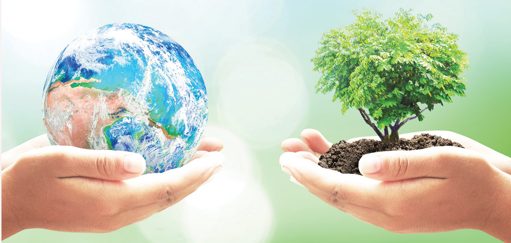 Experts stress on nature-based solutions on Environment Day