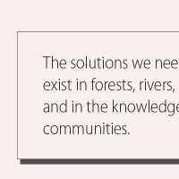 Put Nature First To Save Climate