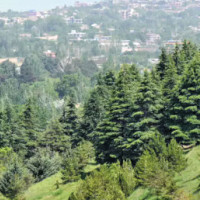 Human resource biggest challenge: Mayor Guragai