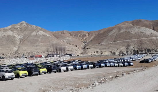 Probe panel formed on 779 EVs taken under control
