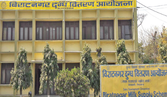 Koshi dairy farmers await Rs. 90M dues