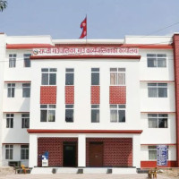 Migrant returnee GC making huge income from agriculture in Pyuthan