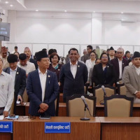 Labour Minister addresses 114th ILO Meet, Announces next decade as 'Domestic Employment Promotion Decade'