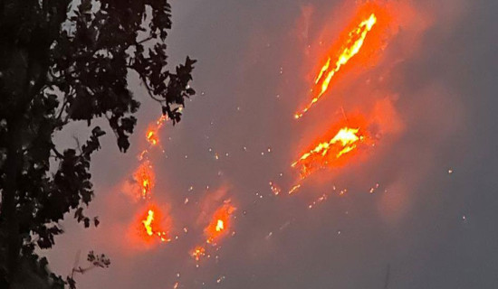 Fire destroys 12 houses in Saptari