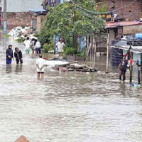 6,000 saplings planted so far under Bagmati River clean-up mega campaign