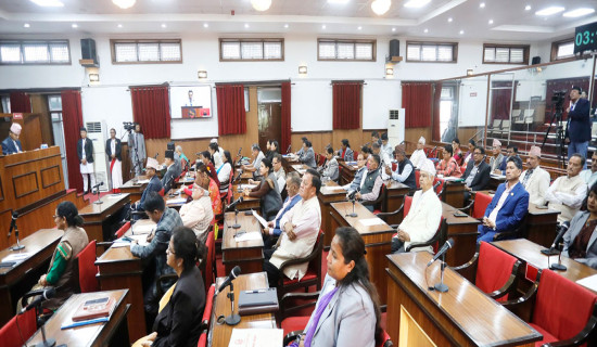 NA Members demand clarification on PM's remarks on border