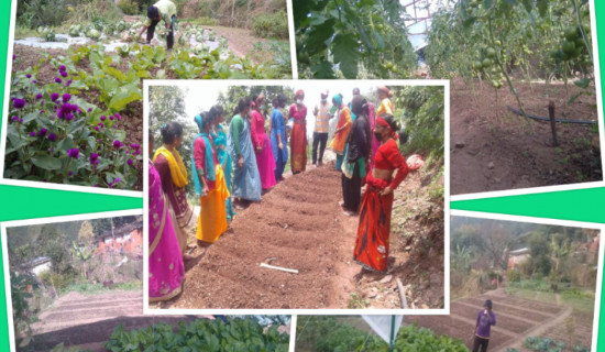 Maoist fighter's inspiring vegetable farm