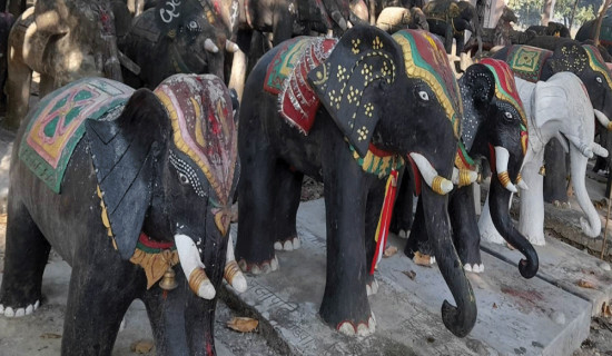 Kotiyamai’s elephant statues await protection