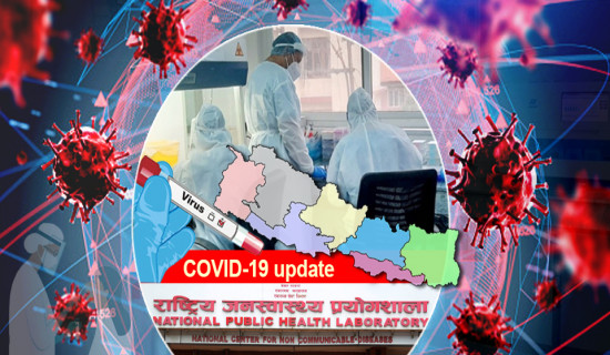 Active cases fall to 79, only a case of COVID-19 detected in last 24 hours