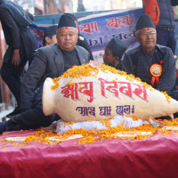 Fulpati received at Dashainghar