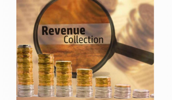 Revenue collection, capital expenditure remain sluggish