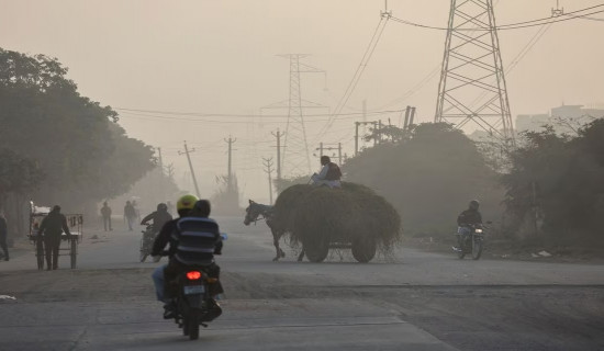 Indian industry turns to biomass as capital bans coal in pollution fight
