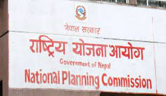 Govt appoints three NPC members