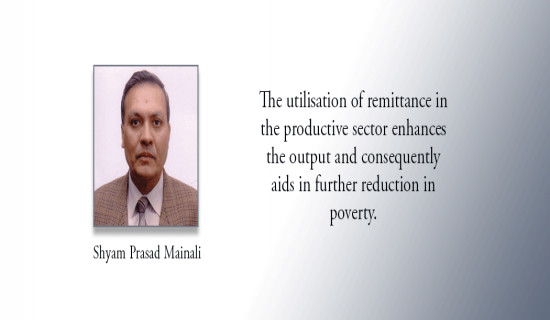 Utilising Remittances For Development