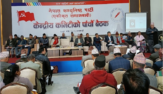 Behaviour reflects principles of parties: Chair Nepal