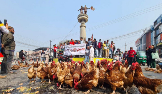 Jhapa farmers stage protest throwing chickens and eggs on road