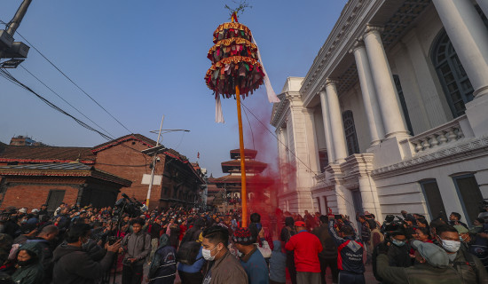 Chir erected in Basantapur, Holi festival begins (Photo Feature)