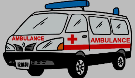 Free ambulance service in pregnancy case