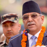 Journalist Dahal feted