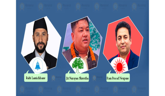 Chitwan-2 vote count: RSP's Lamichhane leading with wide margin
