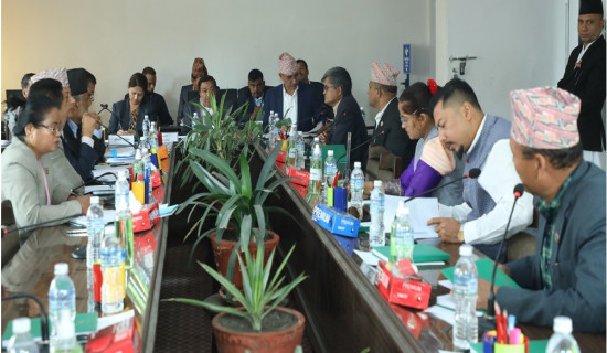Finance Committee discusses topics on improving country's economy, stock exchange license