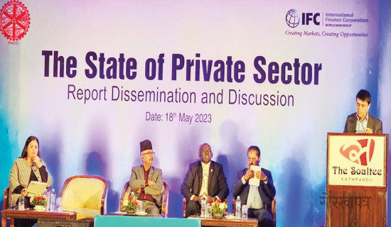 'Private sector's share in GDP is 81.55%'