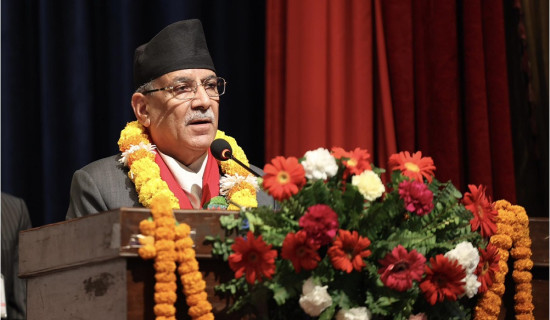 Sustainable forest management could create 1.3 mln direct jobs: PM Prachanda