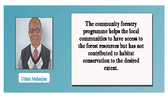 Community Forestry Shows Sound Results