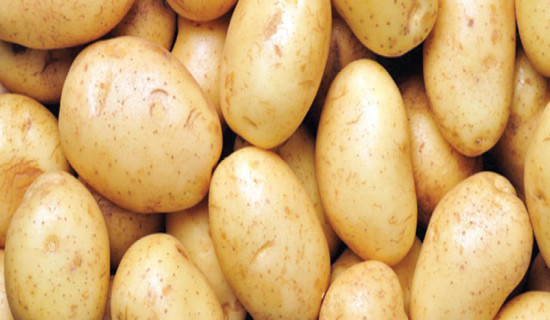 Home-grown technology can revolutionise potato farming