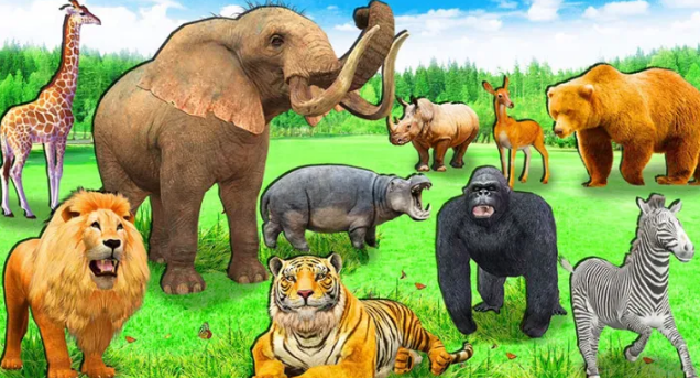 Zoo to be constructed alongside Wildlife Rescue Centre in Chitwan