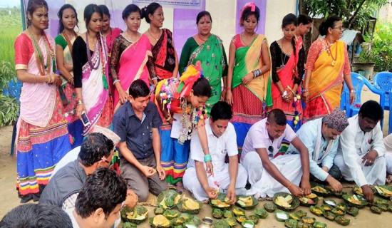 Dagaura Chaudhary community celebrating Atwari festival