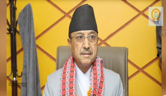 Present Constitution, epochal achievement in Nepal's political history-Acting PM Khadka