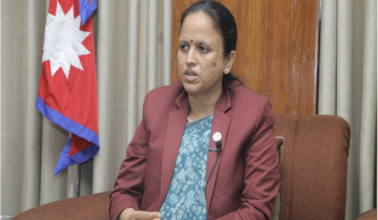 Only advanced democracy is alternative to democracy: Minister Sharma