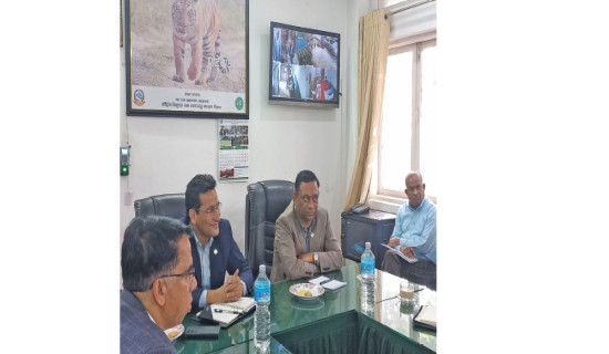 Problems of energy project be solved: Minister Basnet