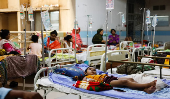 Nearly 1,000 people die of dengue in Bangladesh