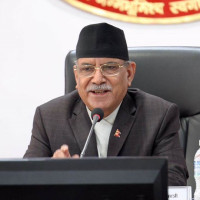 Nepalis living abroad will have voting rights: Minister Saud