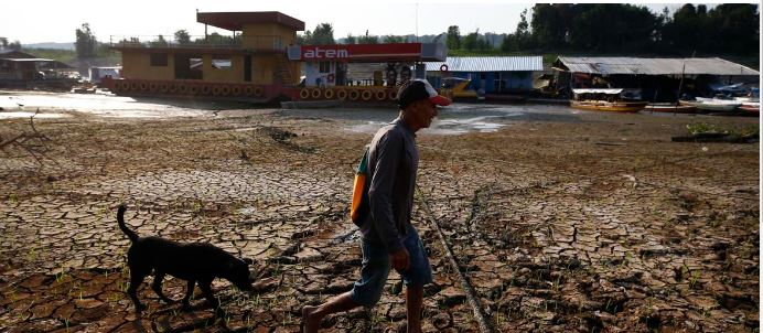 Drought In Brazil's Amazon Sharpening Fears For Future