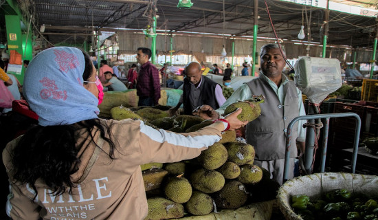 Indian jackfruit in Nepali market (Photo Feature)