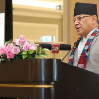 Lumbini hosts dialogue on local development
