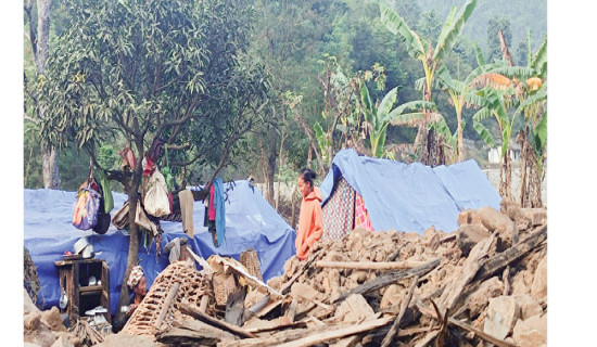 Jajarkot earthquake victims ask government to build houses for them