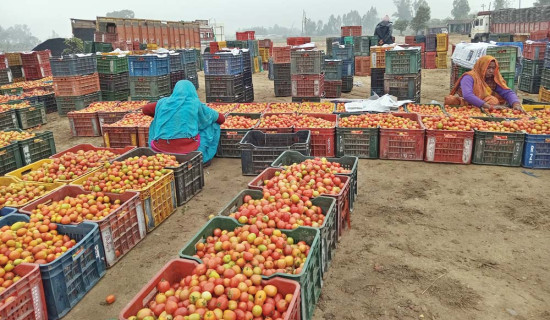 Lalbandi turns market hub of vegetable
