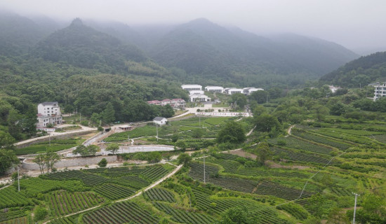 China's mountainous areas explore new ways to generate wealth through green assets