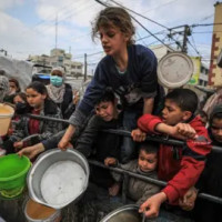 Half of Gaza's population is starving, warns UN